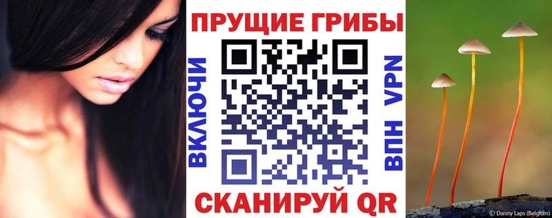 Псилоцибиновые грибы MAGIC MUSHROOMS Харовск